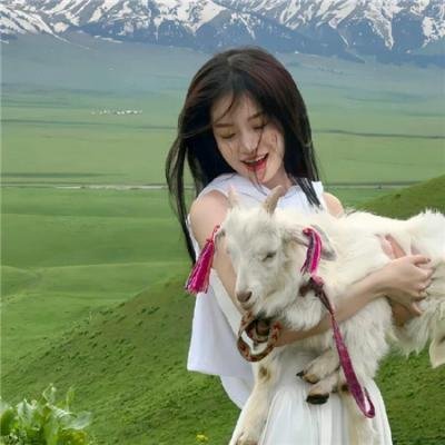 星际旅行4：抢救未来国语